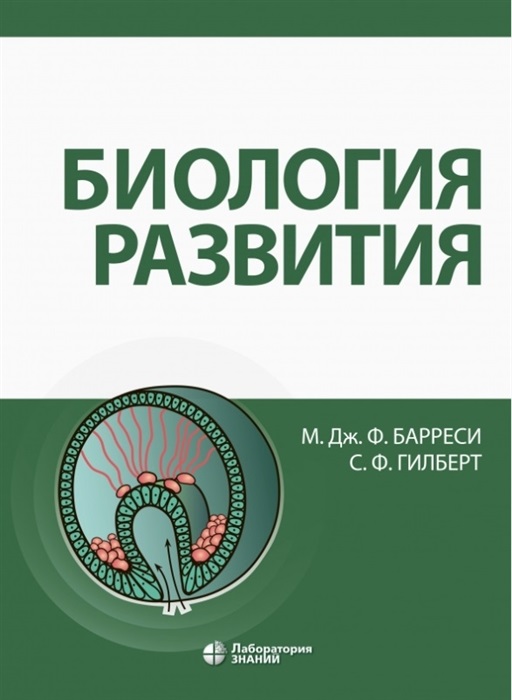 9602