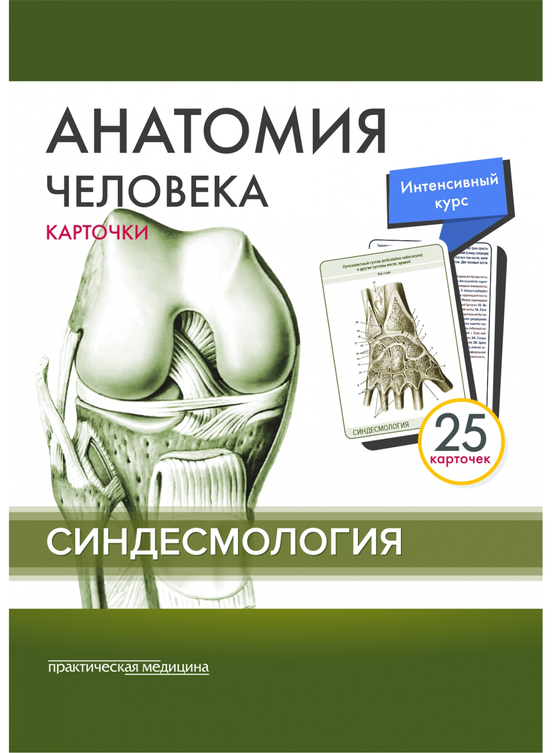 sindesm_obl-1100x1500 sindesm_obl-1100x1500