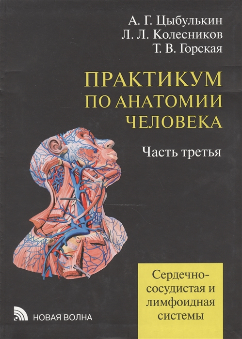 2469357_detail