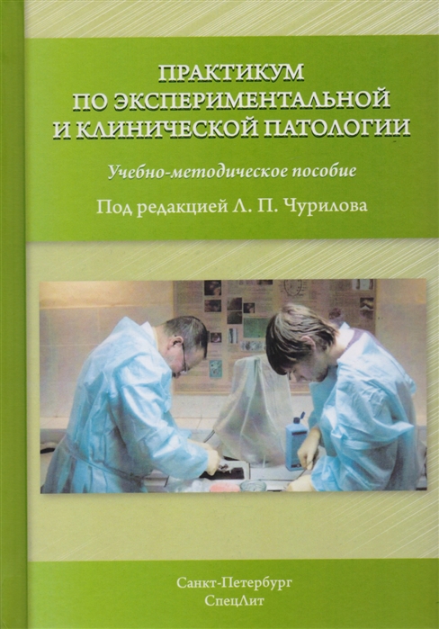 2616186_detail