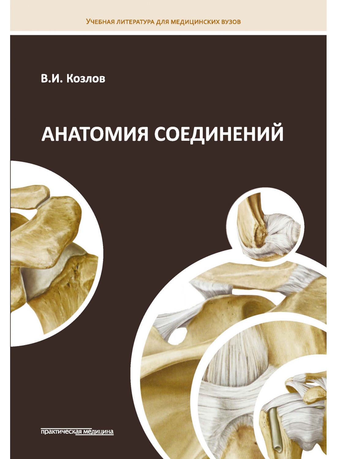 anseod0-1100x1500