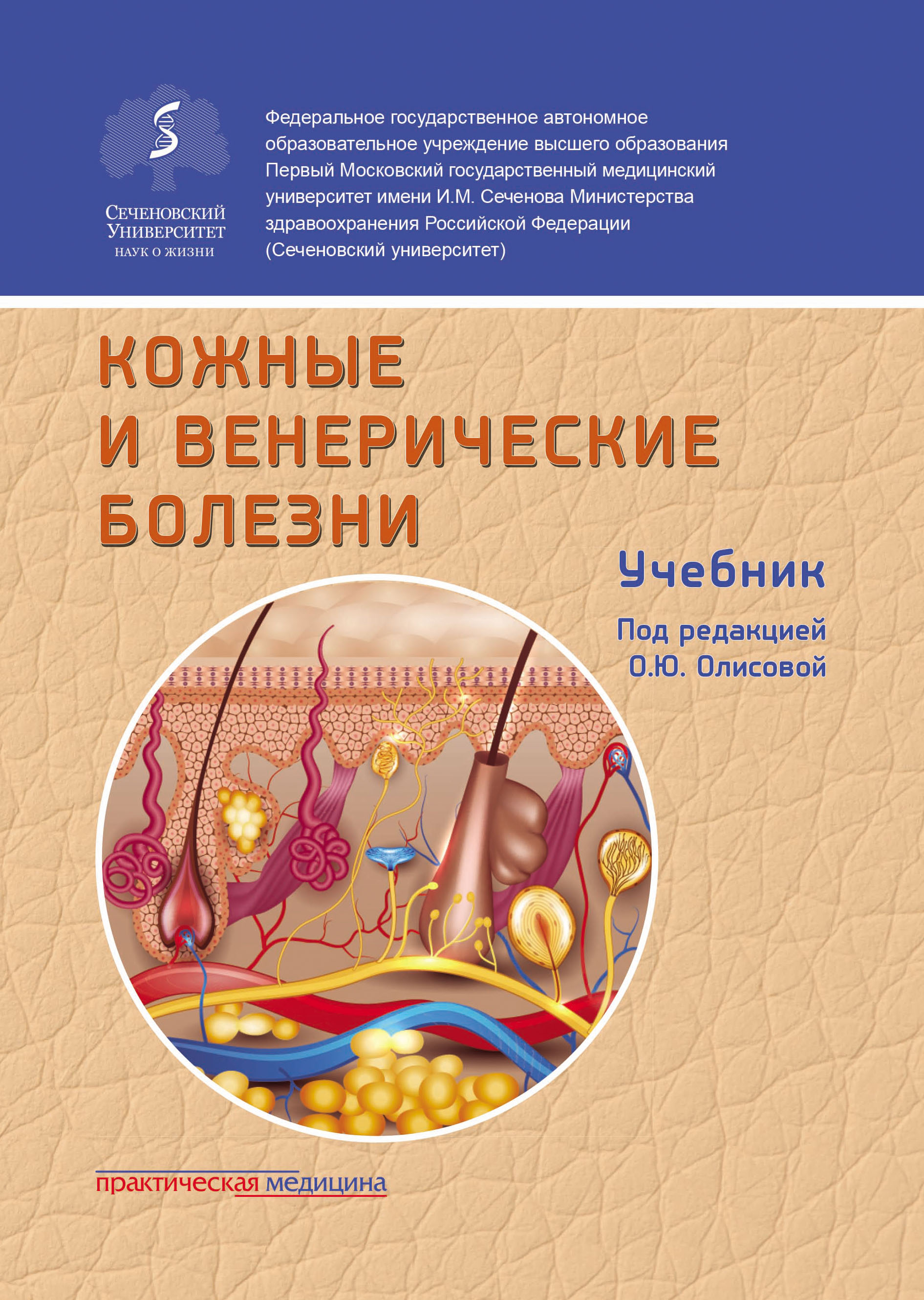 55287512-raznoe-4340152-kozhnye-i-venericheskie-bolezni-55287512