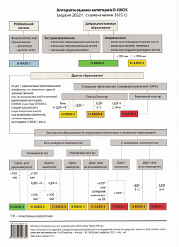 Таблица: Алгоритм оценки категорий O-RADS (версия 2022 г. с изменением 2023 г.)