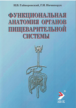 Функциональная анатомия органов пищеварительной системы Функциональная анатомия органов пищеварительной системы