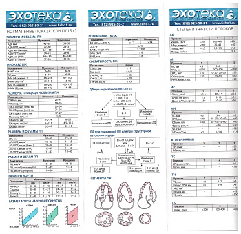 Пособие по эхокардиографии (Буклет Эхотека)