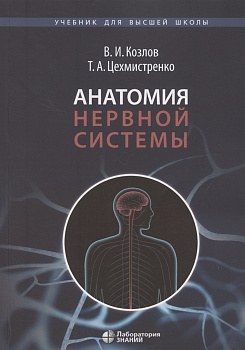 Анатомия нервной системы Анатомия нервной системы