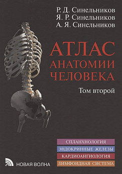 Атлас анатомии человека в 3-х т. Том 2