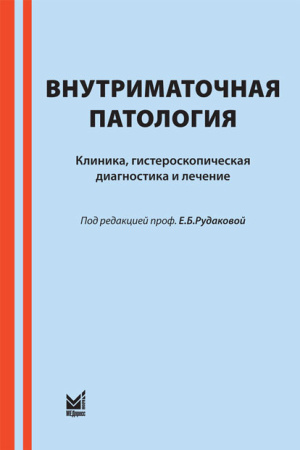 rudakova_cover.jpg