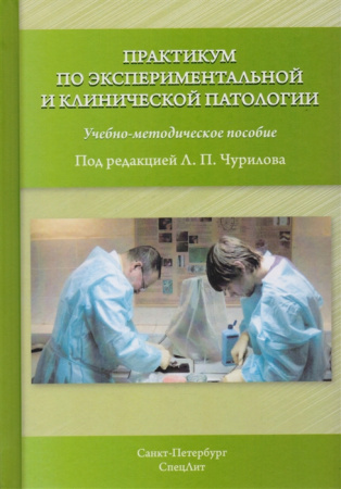 2616186_detail