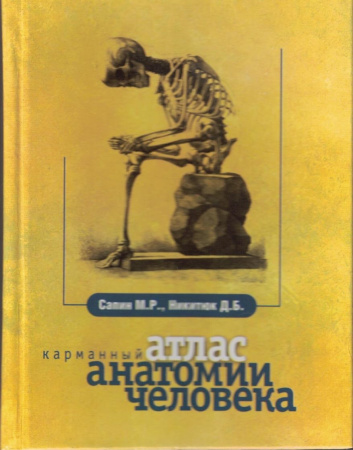5184