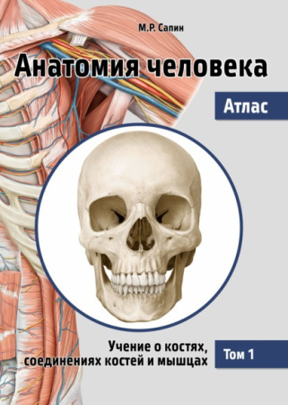 8433
