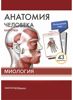 Анатомия человека: КАРТОЧКИ (43шт). Миология. Русские и латинские названия анатомических структур Анатомия человека: КАРТОЧКИ (43шт). Миология. Русские и латинские названия анатомических структур