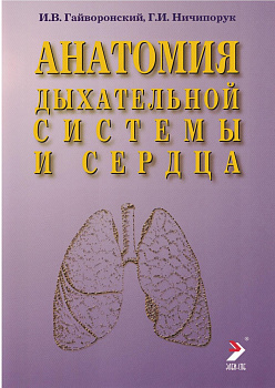 Анатомия дыхательной системы и сердца