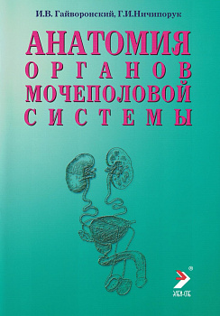 Анатомия органов мочеполовой системы