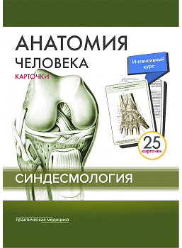 Анатомия человека: КАРТОЧКИ (25шт). Синдесмология. Русские и латинские названия анатомических структ Анатомия человека: КАРТОЧКИ (25шт). Синдесмология. Русские и латинские названия анатомических структ
