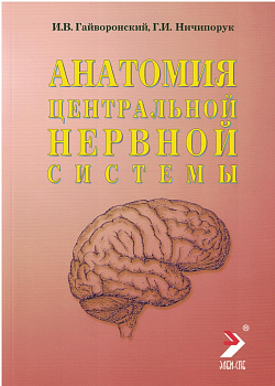 Анатомия центральной нервной системы