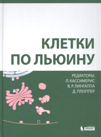 2536369_detail