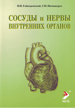Сосуды и нервы внутренних органов