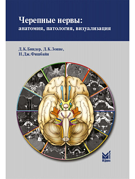 Черепные нервы: анатомия, патология, визуализация.