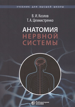 Анатомия нервной системы