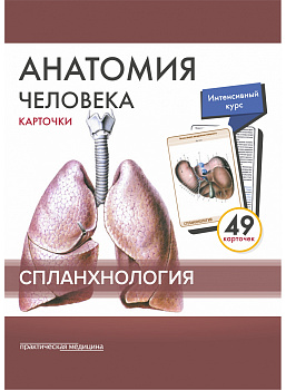 Анатомия человека: КАРТОЧКИ (49шт). Спланхология. Русские и латинские названия анатомических структу