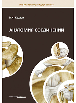 Анатомия соединений Анатомия соединений