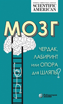 Мозг: чердак, лабиринт или опора для шляпы? Мозг: чердак, лабиринт или опора для шляпы?
