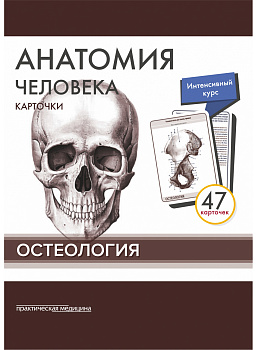 Анатомия человека: КАРТОЧКИ (47шт). Остеология. Русские и латинские названия анатомических структур